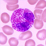 �����³��д���Ǻ�ҽԺ