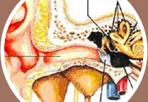 �����³��д���Ǻ�ҽԺ - ֻ�������ʺ�